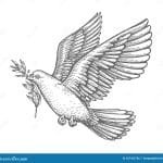 Adriano são Pedro Santos